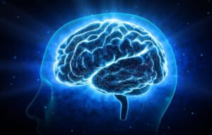 How Our Brains Store and Remember