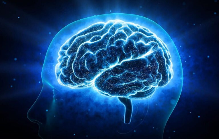 How Our Brains Store and Remember