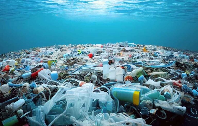 Plastic Pollution